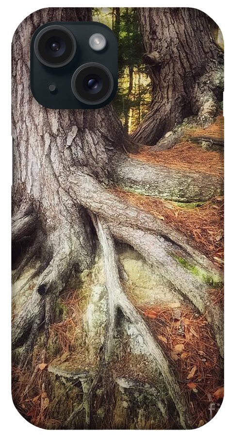 Stroll Woods Tree Roots Copper Pine Needles Forest Green Autumn iPhone Case featuring the photograph Rooted in the Heart of Copper by Raena Wilson