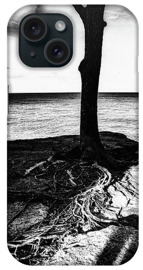 Rooted iPhone Case featuring the photograph Rooted by Marianne Campolongo