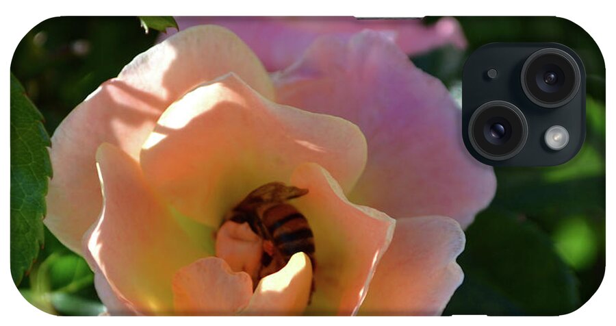 Rose Photography iPhone Case featuring the photograph Rose and Bee in the Sunshine by Expressions By Stephanie