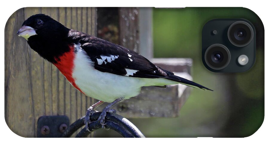 Wild Birds iPhone Case featuring the photograph Rose Breasted Grosbeak 2 by Terry Cork