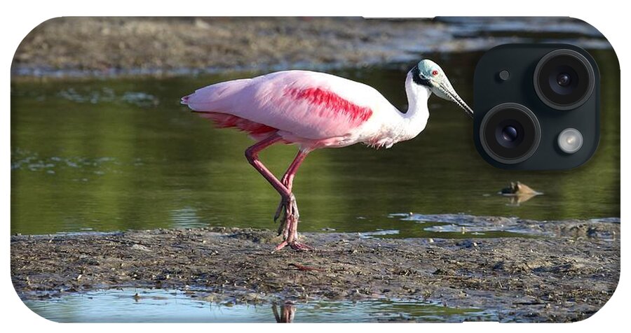 Roseate Spoonbill iPhone Case featuring the photograph Roseate Spoonbill 4 by Mingming Jiang
