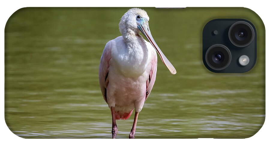 2020 iPhone Case featuring the photograph Roseate Spoonbill Close Up by Dawn Richards