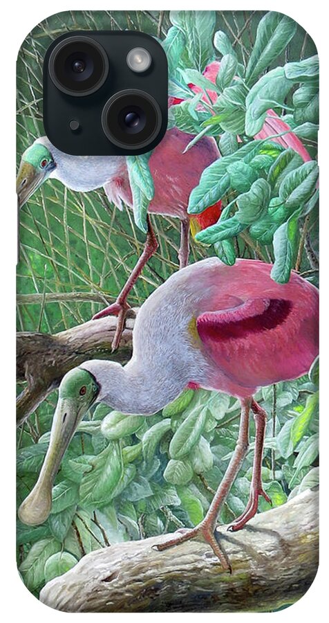 Roseate Spoonbill iPhone Case featuring the painting Roseate Spoonbills by Barry Kent MacKay