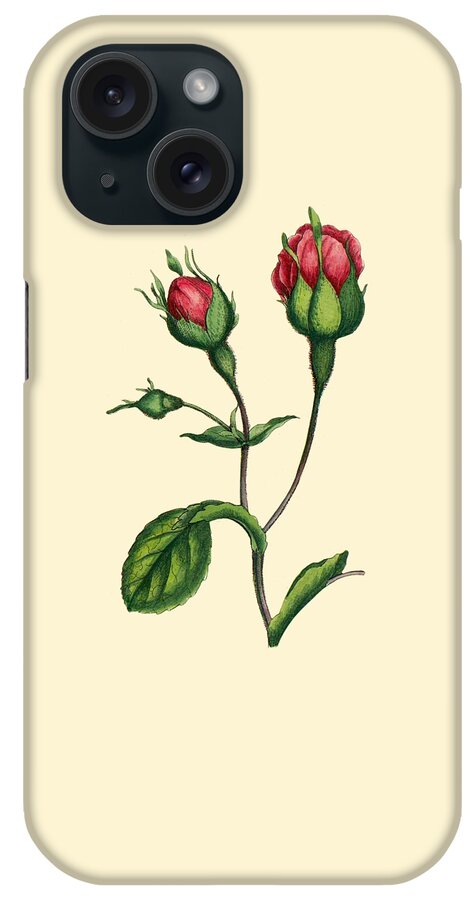 Rose iPhone Case featuring the digital art Roses Decor by Madame Memento