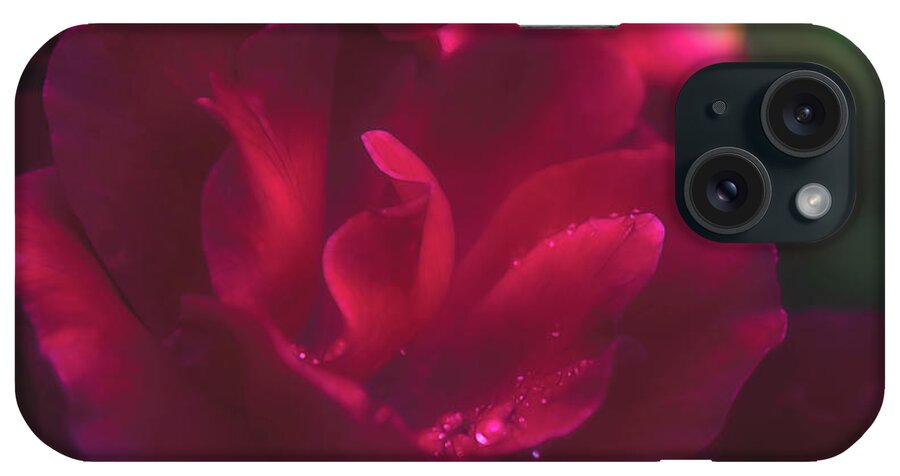 Roses iPhone Case featuring the photograph Roses In the Rain by Laura Vilandre