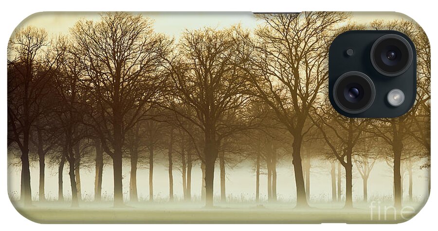 Row Trees iPhone Case featuring the photograph Row trees in a low-hanging mist by Nick Biemans