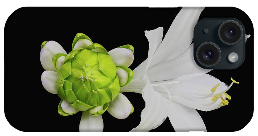Blooming iPhone Case featuring the photograph Royal Standard Hosta by Charles Floyd