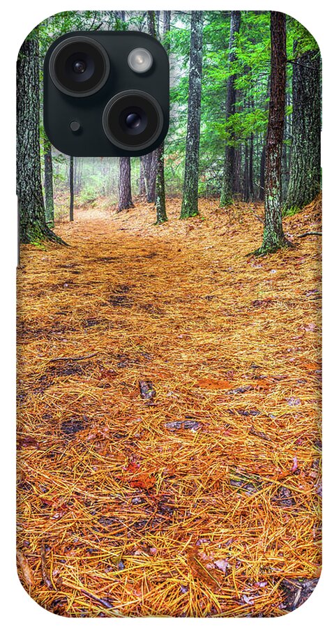 Hiking iPhone Case featuring the photograph The Trail by Ed Newell
