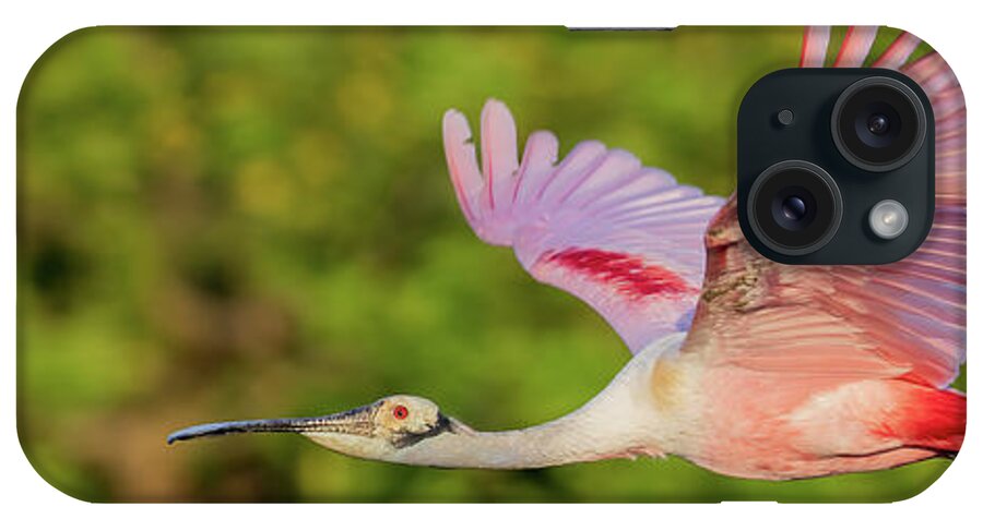 Roseate Spoonbill iPhone Case featuring the photograph RSB in flight #1 by RD Allen