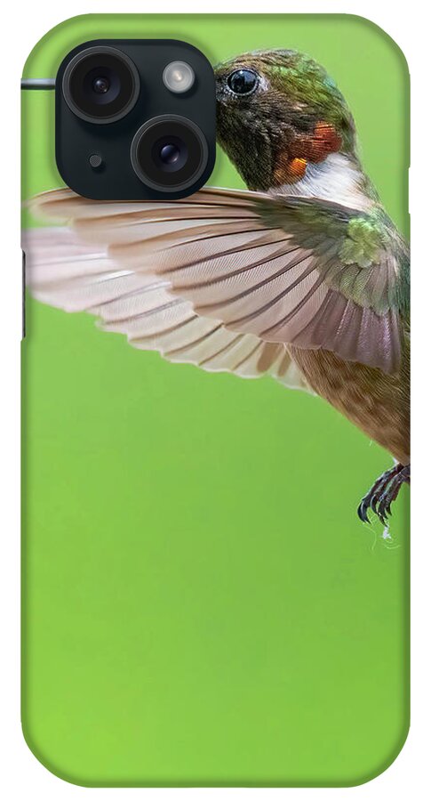 Hummingbirds iPhone Case featuring the photograph Ruby by Linda Shannon Morgan