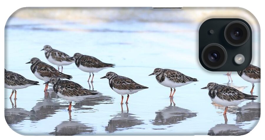 Ruddy Turnstones iPhone Case featuring the photograph Ruddy Turnstones by Mingming Jiang