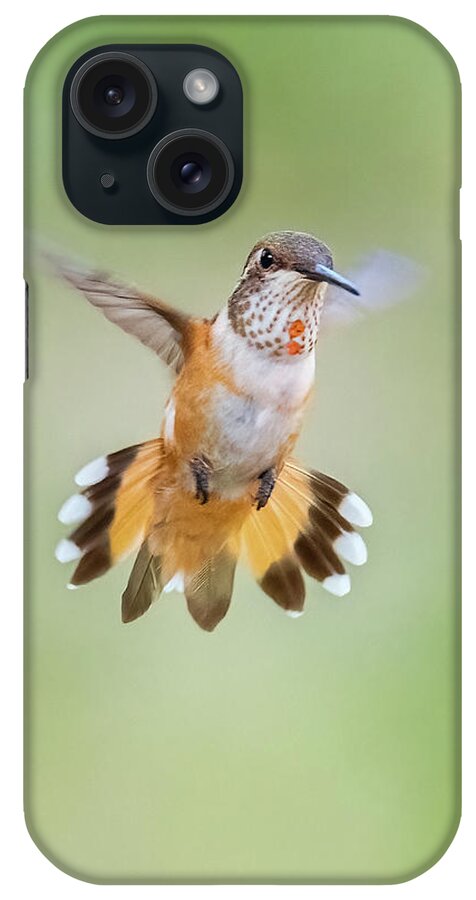 American Southwest iPhone Case featuring the photograph Rufous by James Capo