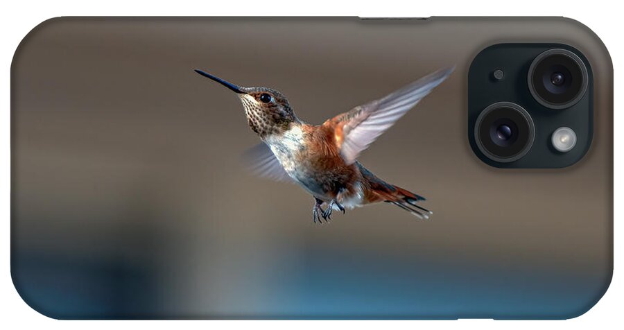 Hummingbird iPhone Case featuring the photograph Rufus Hummingbird by Rick Mosher