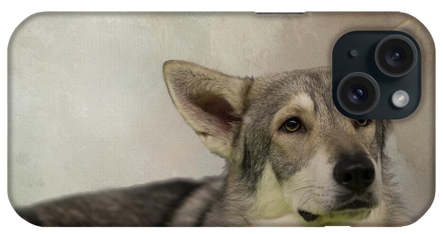 Saarloos Wolfdog iPhone Case featuring the photograph Saarloos Wolfdog by Eva Lechner