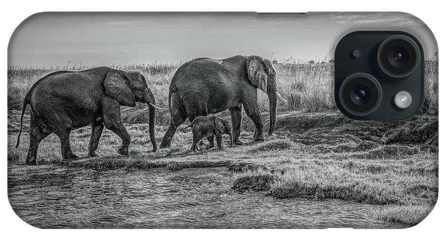 Chobe National Park iPhone Case featuring the photograph Safely On The Other Side, Black and White by Marcy Wielfaert