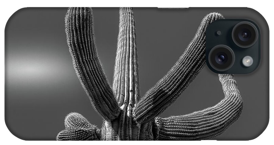 Minimalism iPhone Case featuring the photograph Saguaro #1 Selenuim by Jennifer Wright