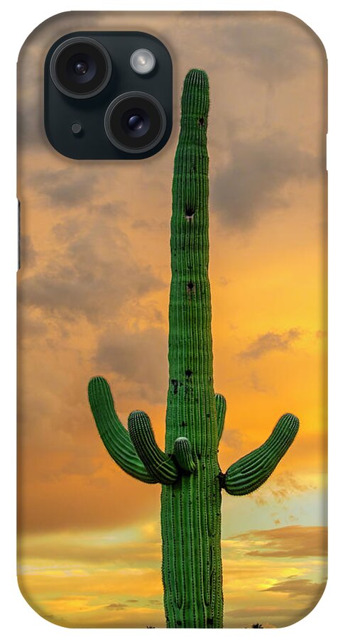 Mark Myhaver Photography iPhone Case featuring the photograph Saguaro East of Sunset 24899 by Mark Myhaver