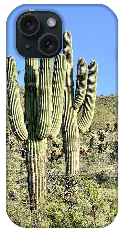 Photography iPhone Case featuring the photograph Saguaros by Sean Griffin
