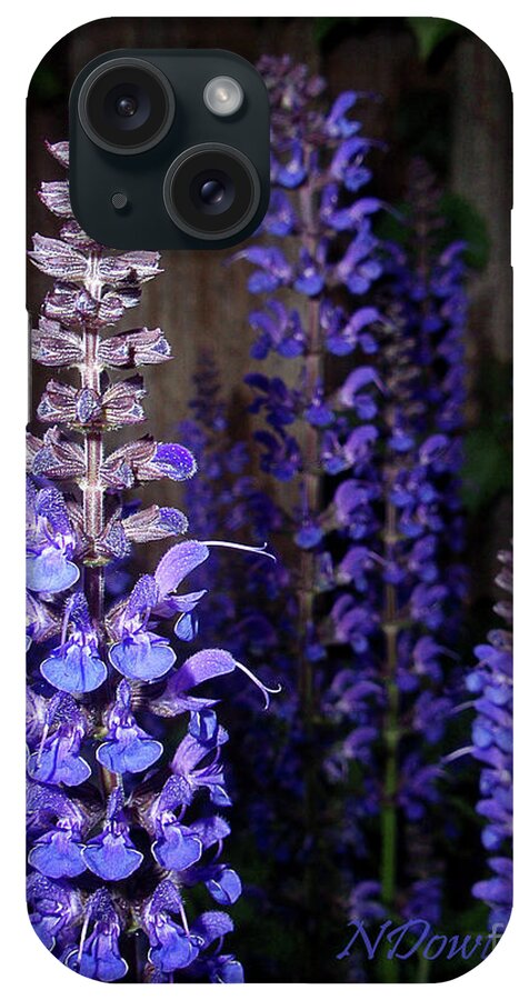 Salvia Blossoms iPhone Case featuring the photograph Salvia Blossoms by Natalie Dowty