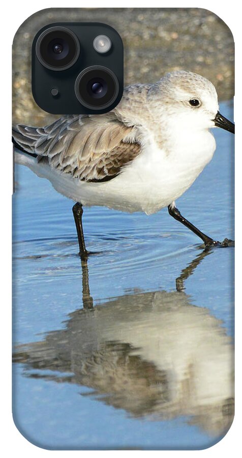 Sanderling iPhone Case featuring the photograph Sanderling Reflection by Jerry Griffin