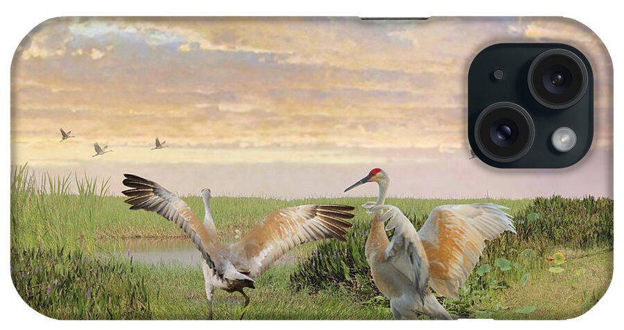Birds iPhone Case featuring the photograph Sandhill Crane Courtship by M Spadecaller
