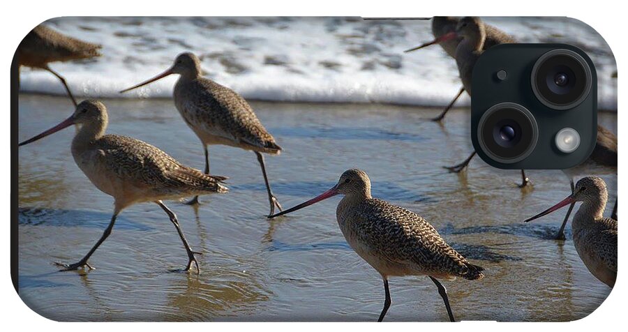 Beach iPhone Case featuring the photograph Sandpipers on the March by D Patrick Miller