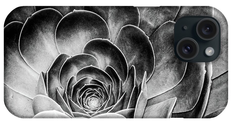 Echeveria iPhone Case featuring the photograph Santa Barbara Succulent #2 by Jennifer Wright