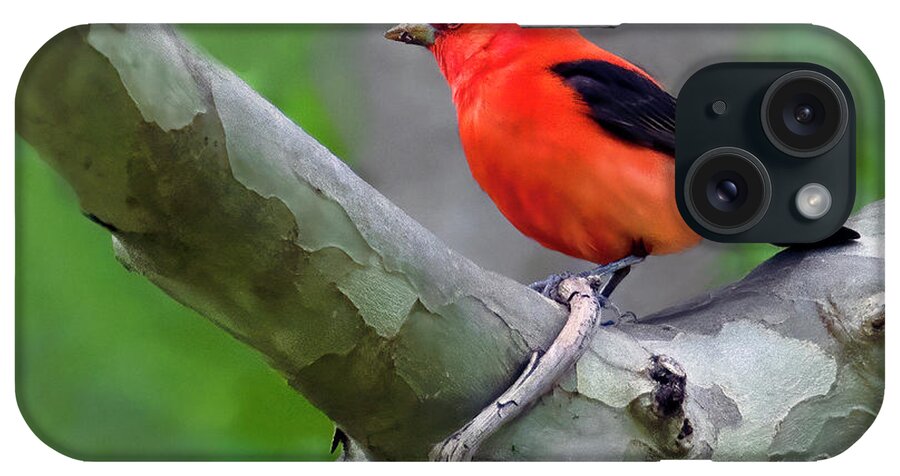 Bird iPhone Case featuring the photograph Scarlet Tanager by Art Cole