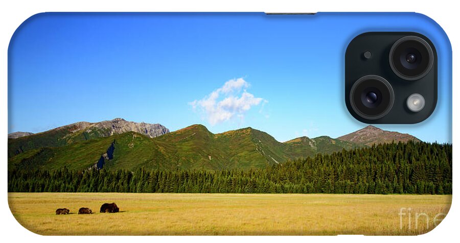 Alaska iPhone Case featuring the photograph Scenic View with Coastal Brown Bear and Cubs by Patrick Nowotny