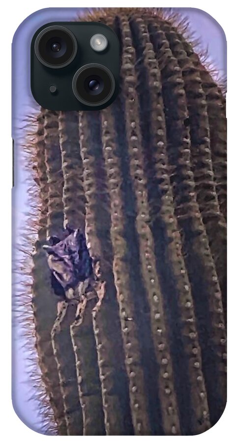 Owls iPhone Case featuring the photograph Screech Owl in Giant Cactus by Judy Kennedy