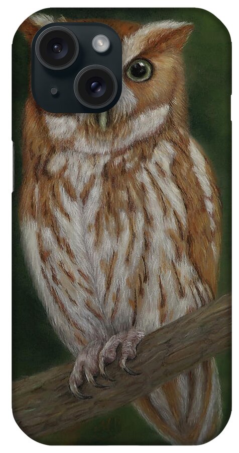 Bird Art iPhone Case featuring the painting Screech Owl by Monica Burnette