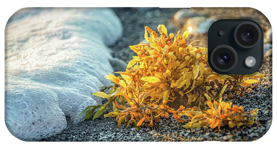Sean Foam iPhone Case featuring the photograph Sea Foam, Sand and Seaweed at Sunrise by Rebecca Herranen