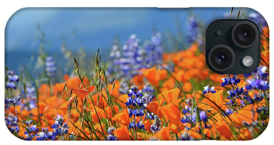 California iPhone Case featuring the photograph Sea of California Wildflowers by Kyle Hanson