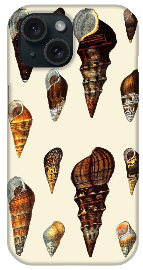 Sea Shells iPhone Case featuring the digital art Sea Shells Collection by Madame Memento