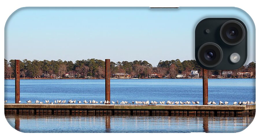 Seagull iPhone Case featuring the photograph Seagull Gathering On Pier by Cynthia Guinn