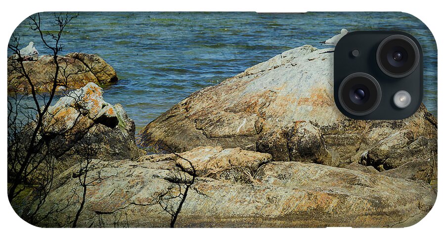 Rocks iPhone Case featuring the photograph Seagull on a Rock by Elaine Teague