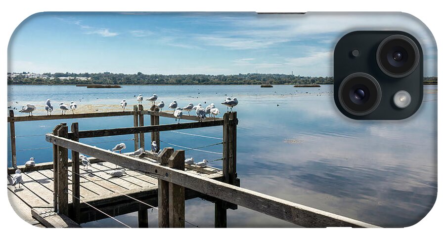 Seagulls iPhone Case featuring the photograph Seagulls at Lake Joondalup, Western Australia 2 by Elaine Teague