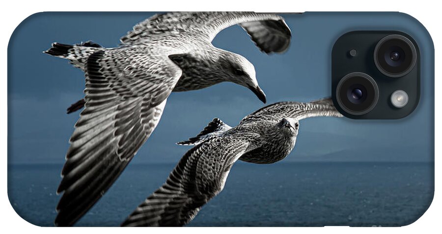 Bird iPhone Case featuring the photograph Seagulls Flying Formation by Andreas Berthold