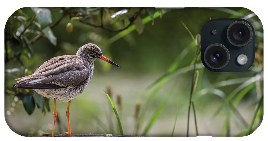 Common Redshank iPhone Case featuring the photograph Searching For Food by Eva Lechner