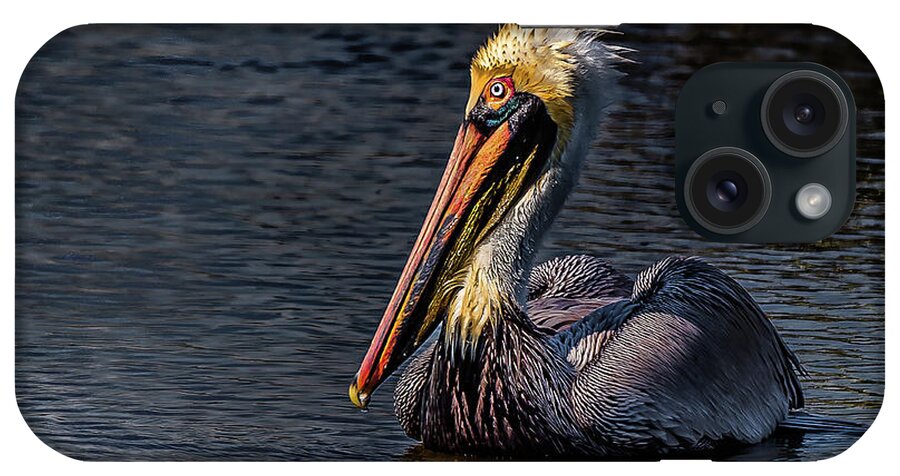 Pelican iPhone Case featuring the photograph Searching For Food by Joe Granita
