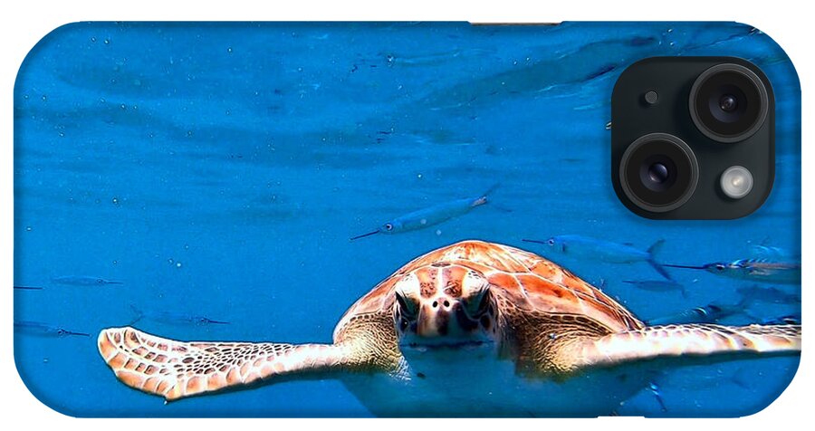 Turtle iPhone Case featuring the photograph Searching for Nemo by Devin Wilson
