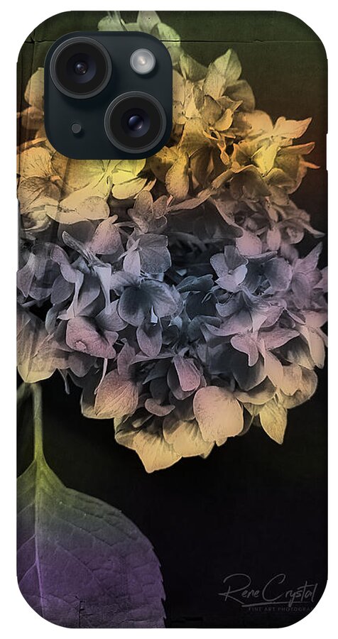 Hydrangea iPhone Case featuring the photograph Season Of Transformation by Rene Crystal