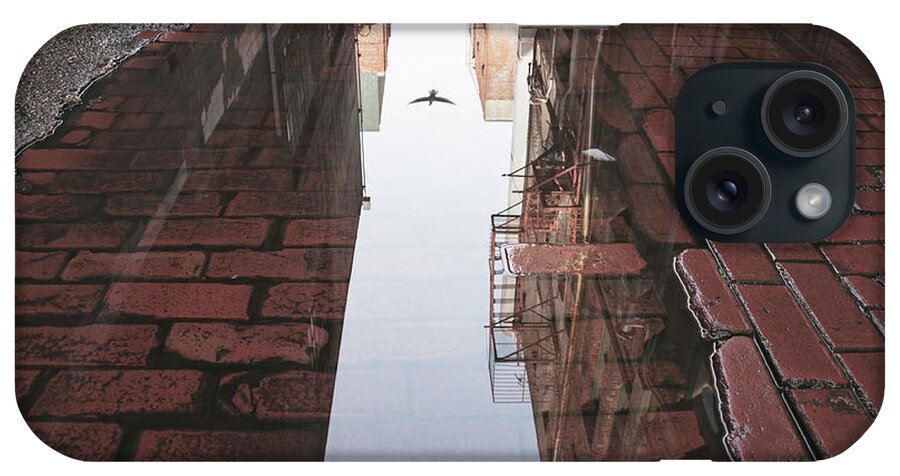 Seattle iPhone Case featuring the photograph Seattle Pigeon Reflected in Water by William Dunigan