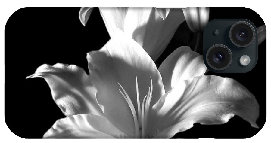 Sectracular iPhone Case featuring the photograph Sectracular Black and White Lily Flower for Prints by Delynn Addams