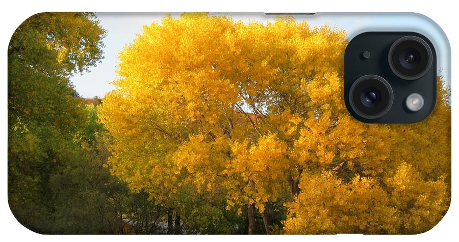 Sedona iPhone Case featuring the photograph Sedona Cottonwood Tree Autumn Yellow Glowing by Mars Besso