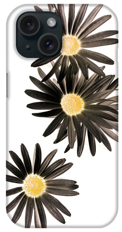 Flower iPhone Case featuring the photograph Seisiad by Jorgo Photography