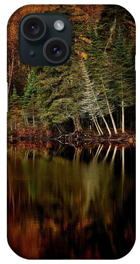Canada iPhone Case featuring the photograph Sensuous by Doug Gibbons