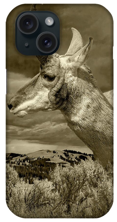 Portrait iPhone Case featuring the photograph Sepia Tone Portrait Photograph of Pronghorn Antelope by Randall Nyhof