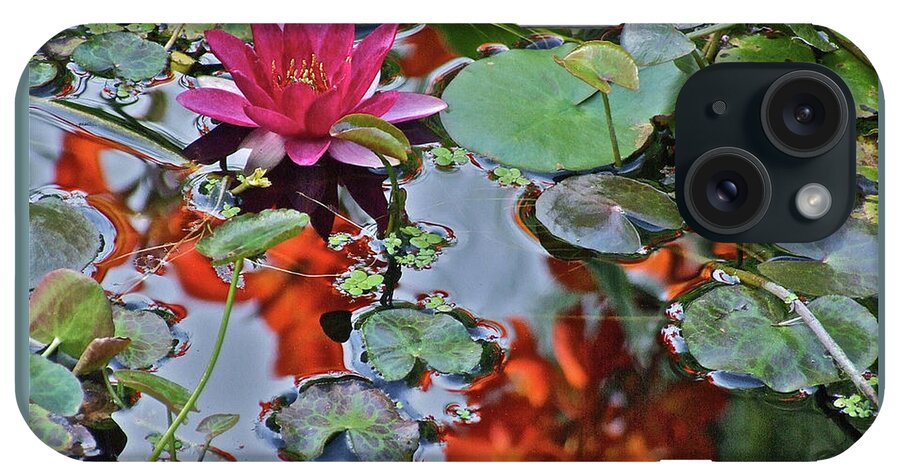 Waterlily: Water Garden iPhone Case featuring the photograph September Rose Water Lily 1 by Janis Senungetuk
