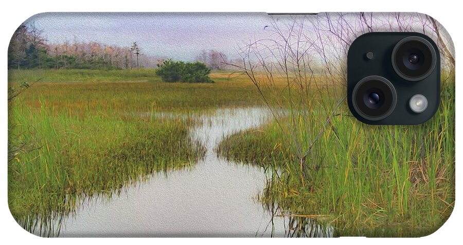 Everglades iPhone Case featuring the digital art Serene Scene by Patti Powers